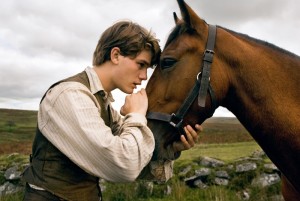 war-horse-01