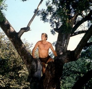 Tarzan-image