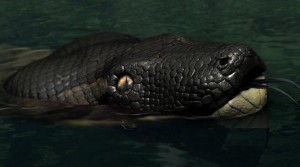 titanoboa