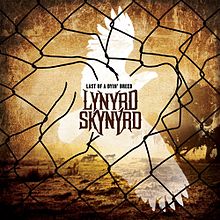 skynyrd