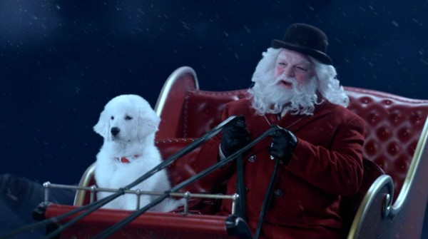 searchforsantapaws-12