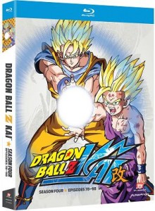 dbz4